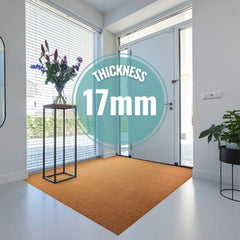 17 mm thickness custom size coir indoor mat