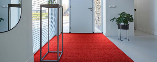 Coloured Coir Mats
