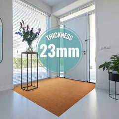 23 mm thickness Anti Slip and dust control coir indoor mat 